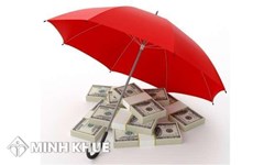 Có bảo lãnh cho người sử dụng và tàng trữ ma túy đá được không ? Hình phạt về ma túy