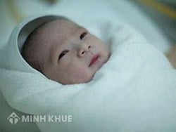 Bố mẹ đẻ có được đòi lại con khi đã cho làm con nuôi hay không ?