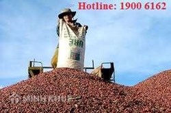 Có được đặt tên thương hiệu riêng cho hàng nhập khẩu để phân phối ?