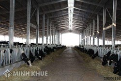 Đăng ký chứng nhận tài sản trên đất xây dựng chuồng trại, chăn nuôi?