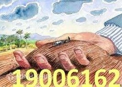 Thi hành án giao đất theo bản án không đúng thực tế?