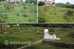 Đề nghị tư vấn giải quyết tranh chấp mồ mả ?