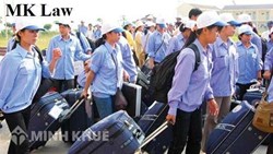 Thủ tục xuất khẩu, du học ở nước ngoài như thế nào?