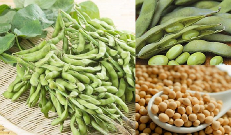 Quả đậu tương có tác dụng gì theo như kinh nghiệm dân gian?