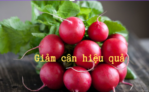 Củ cải đường:lợi ích cho sức khỏe khi ăn
