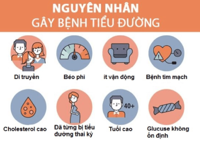 Chế độ ăn dành cho người đái tháo đường type 2