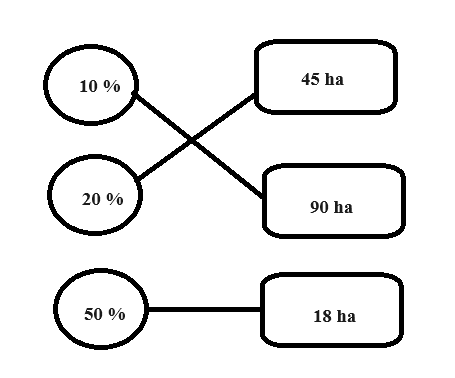 Vở bài tập Toán lớp 5 bài 79 Giải Toán về tỉ số phần trăm