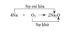 Cân bằng phản ứng sau: Fe + HNO3 → Fe(NO3)3 + NO2 + H2O