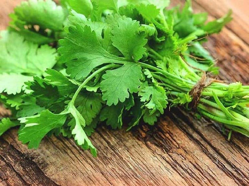 Tên các loại rau thơm gia vị ở Việt Nam