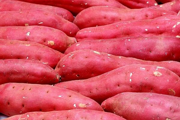 Các loại thực phẩm không được phép ăn khi đói