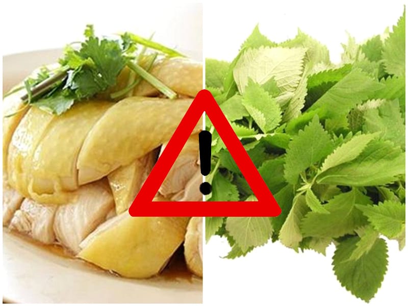 Tổng hợp một số món ăn kỵ nhau nguy hiểm không nên kết hợp