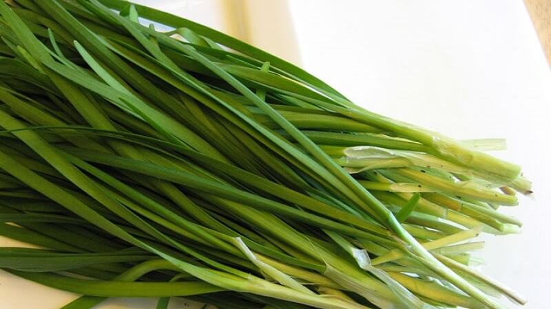 Tổng hợp các cách trị ho tại nhà bằng phương pháp tự nhiên