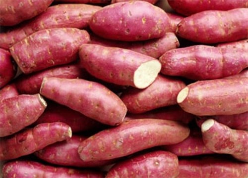Lượng calo có trong khoai lang