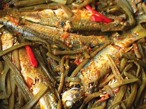 Cá đối nấu gì ngon? Những món ngon từ cá đối dễ làm cho cả gia đình