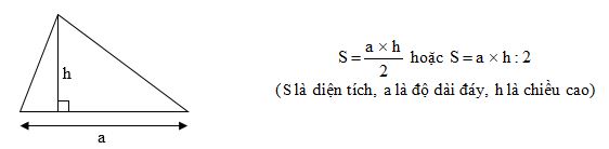 Giải Vở bài tập Toán lớp 5 bài 101 Luyện tập về tính diện tích