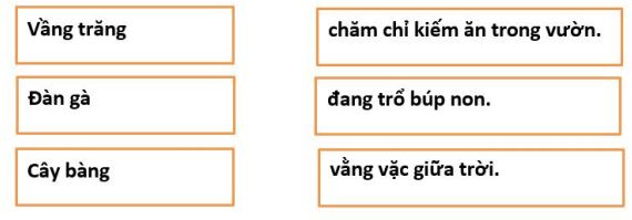 Đề thi học kì 2 môn Tiếng Việt lớp 1 sách Kết nối tri thức có đáp án