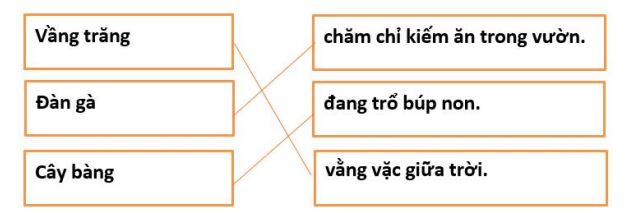 Đề thi học kì 2 môn Tiếng Việt lớp 1 sách Kết nối tri thức có đáp án