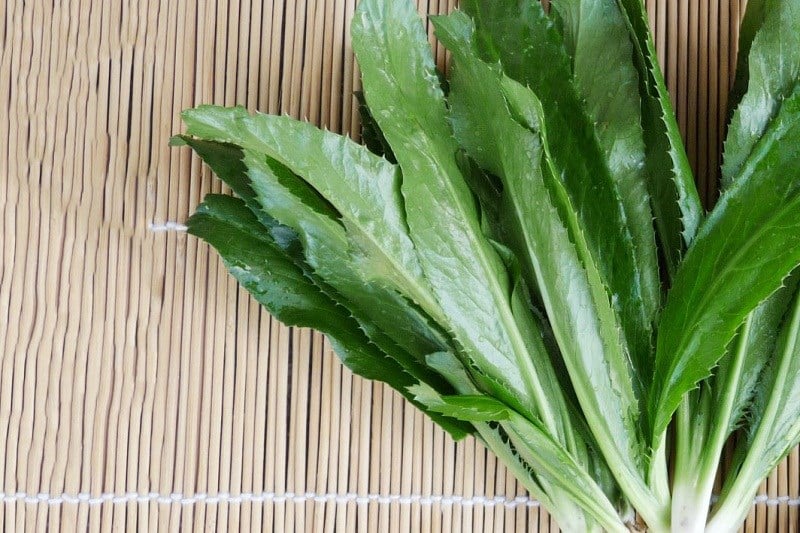 Tên các loại rau thơm gia vị ở Việt Nam