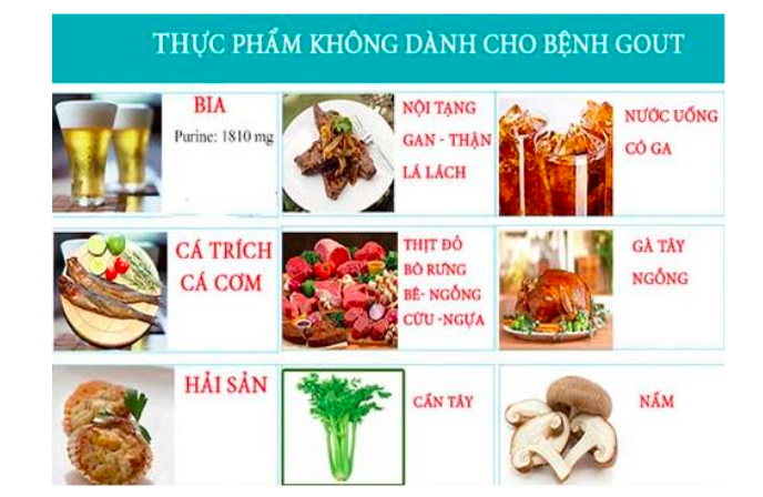 Hàm lượng Purin trong thực phẩm, đồ uống có cồn và các thực phẩm bổ sung