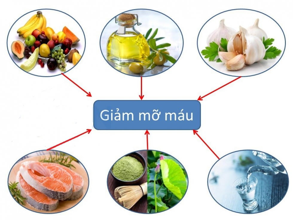 Chế độ ăn cho người bị rối loạn chuyển hóa lipid máu