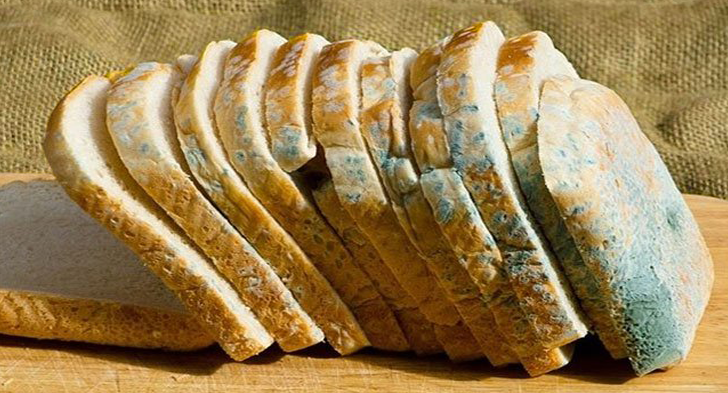 Hạn sử dụng của bánh mì là bao lâu?