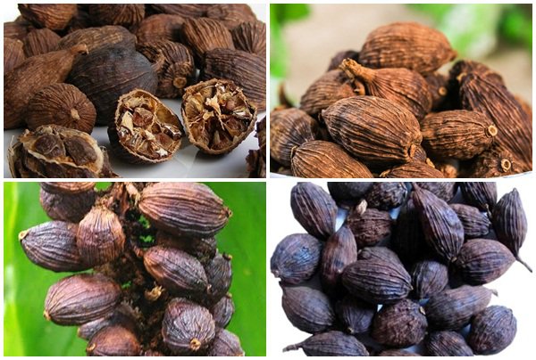 Mách bạn 10 lợi ích sức khỏe của thảo quả không phải ai cũng biết