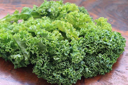 Rau cải xoăn rất giàu vitamin, chất xơ