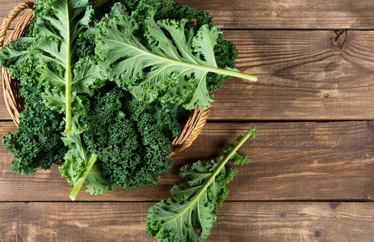 Rau cải xoăn rất giàu vitamin, chất xơ