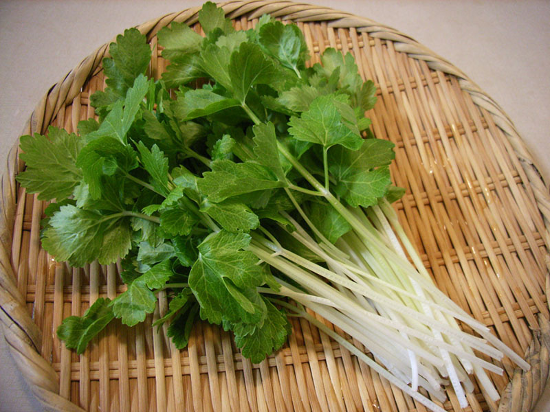 Tổng hợp các thực phẩm giàu vitamin K nhất
