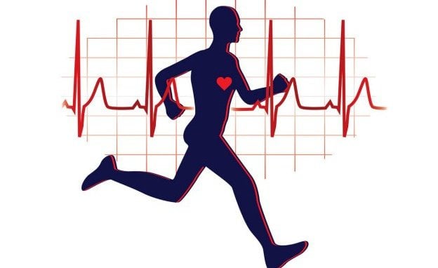 Thể chất: Định nghĩa, các yếu tố , các loại