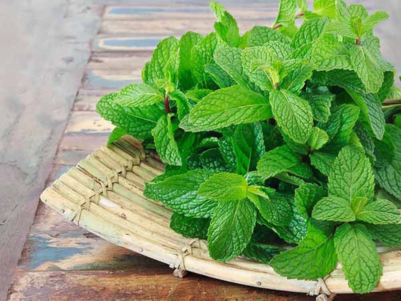 Các loại thực phẩm có tính axit cần tránh sử dụng