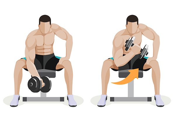 Cách làm bắp tay to ra với bài tập Standing Dumbbell Curl