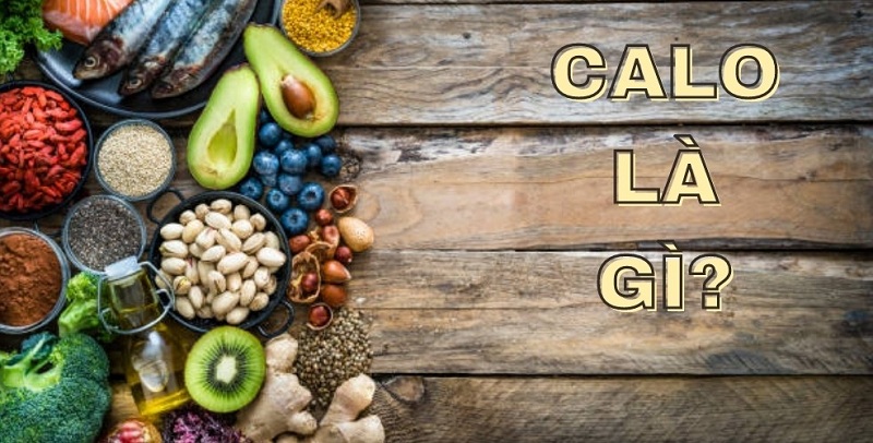 Ước tính lượng calo cho nam, nữ, trẻ em cần tiêu thụ mỗi ngày