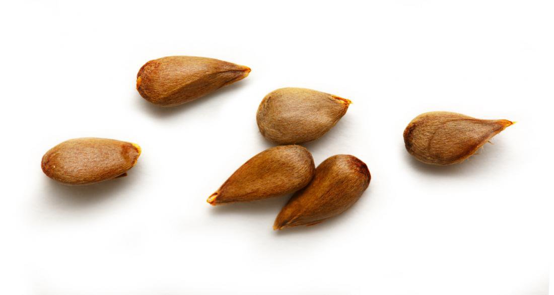 Tổng hợp các thực phẩm phổ biến gây ngộ độc