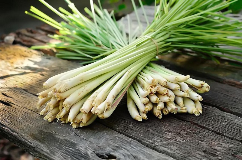 Củ sả có tác dụng gì đối với sức khỏe ?