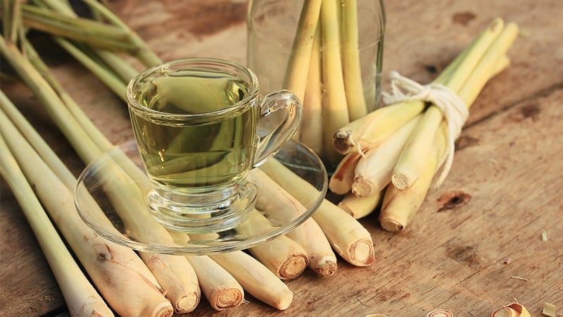 Củ sả có tác dụng gì đối với sức khỏe ?