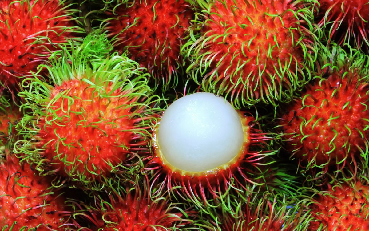 Giá trị dinh dưỡng của quả chôm chôm như thế nào?
