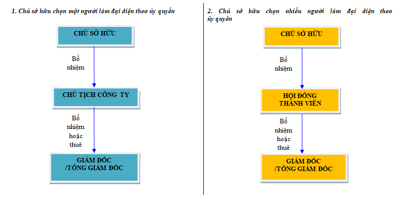 Cơ cấu và sơ đồ tổ chức công ty TNHH 1 thành viên