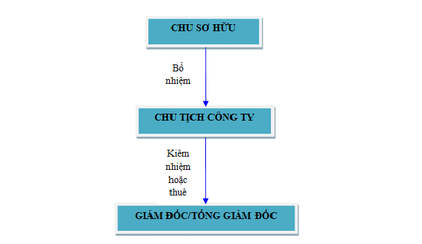 Cơ cấu và sơ đồ tổ chức công ty TNHH 1 thành viên