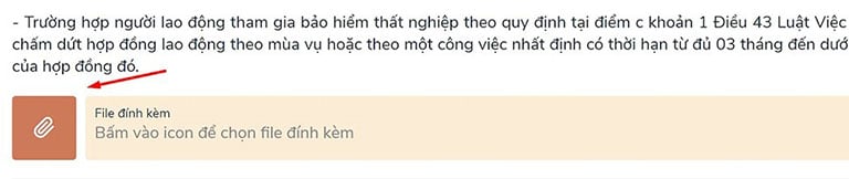 Nộp hồ sơ bảo hiểm thất nghiệp online bao lâu nhận được?