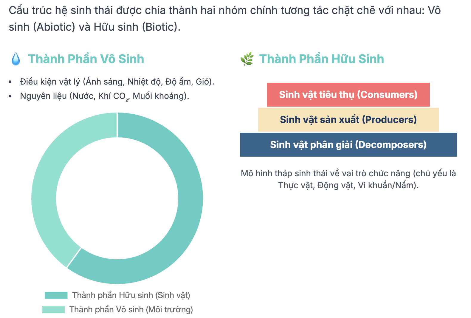 Hệ sinh thái là gì? Ví dụ và bài tập về hệ sinh thái lớp 12