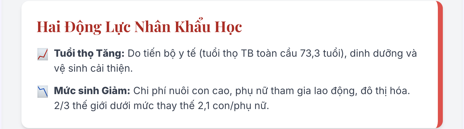 Già hóa dân số là gì? Hậu quả của già hóa dân số như thế nào?