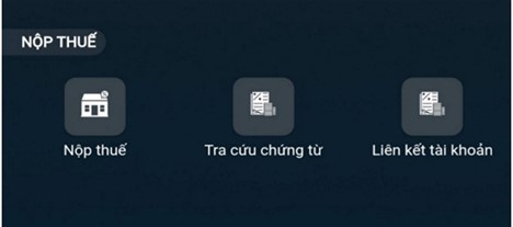 Hướng dẫn nộp thuế sử dụng đất phi nông nghiệp tại TPHCM