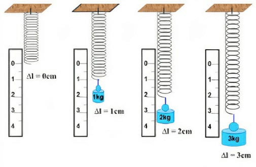 Biến dạng của lò xo Phép đo lực - KHTN Lớp 6 Bài 39