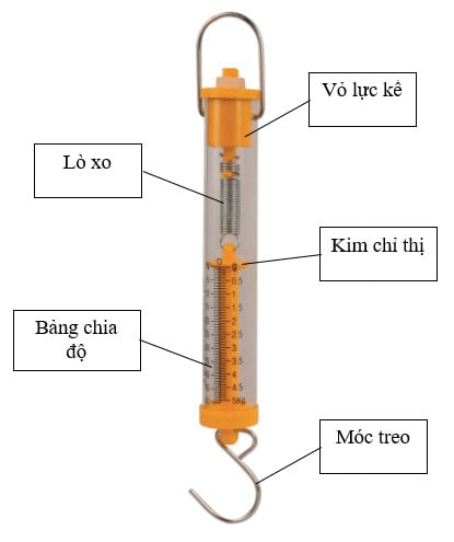 Biến dạng của lò xo Phép đo lực - KHTN Lớp 6 Bài 39