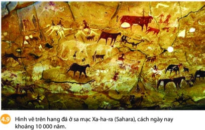 Lịch sử 6 bài 4 Chân trời sáng tạo: Xã hội nguyên thủy