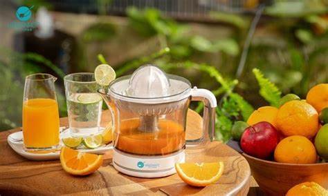 Mách bạn 8 thương hiệu máy vắt cam giúp việc pha chế đơn giản hơn