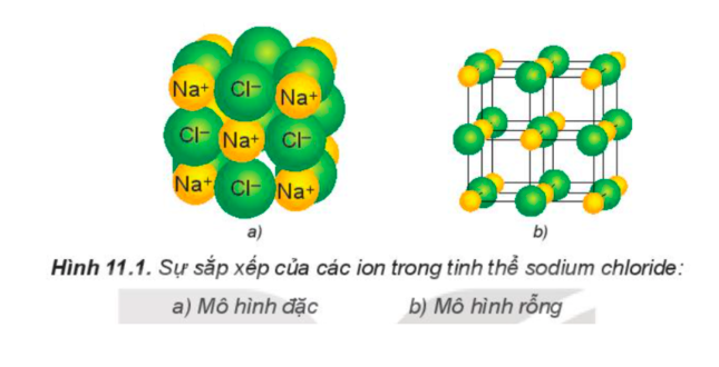 Ví dụ về tinh thể muốn ăn