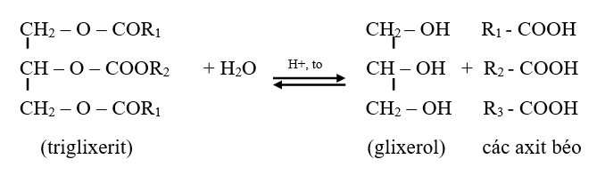 Lý thuyết hóa học lớp 12 Chương 1: Este - Lipit - đầy đủ nhất