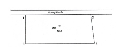 Nghị định 101/2024/NĐ-CP về điều tra cơ bản đất đai; đăng ký, cấp sổ đỏ